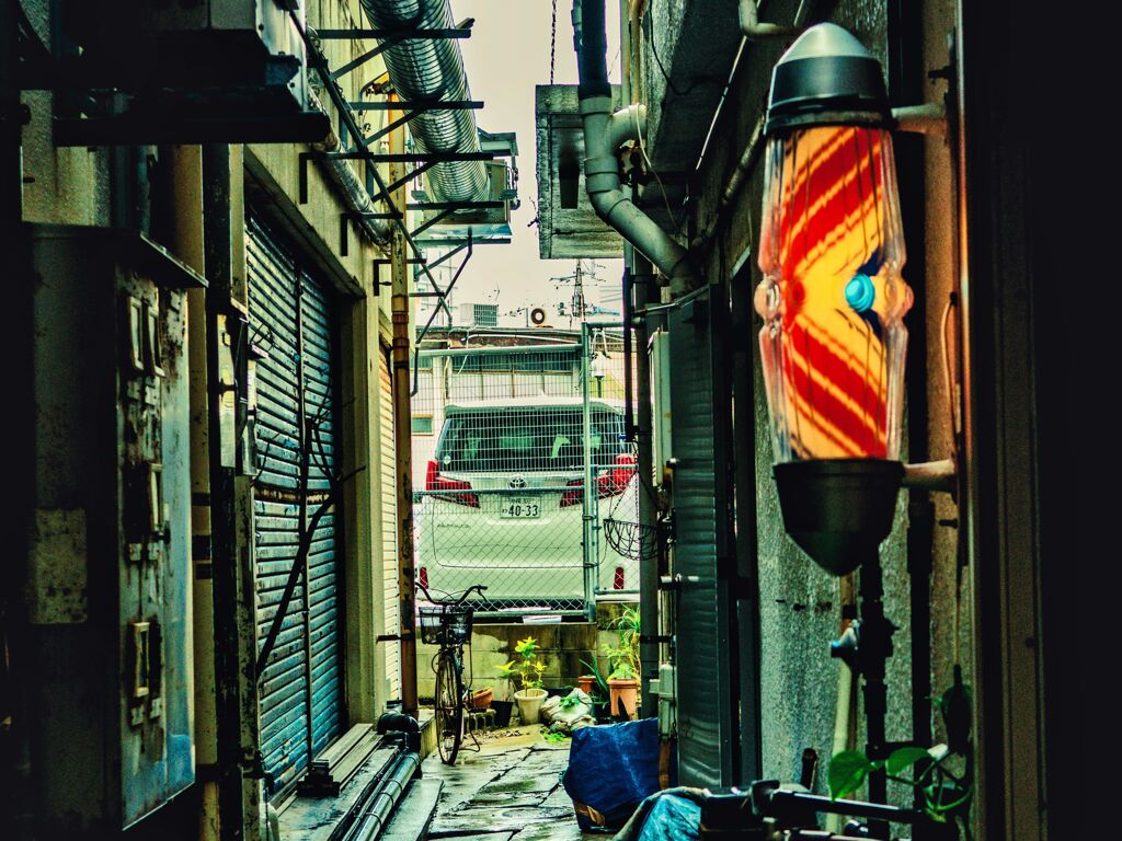 OM-D E-M10