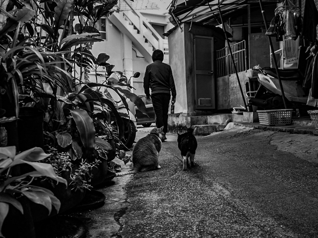 E-M10 Mark II
