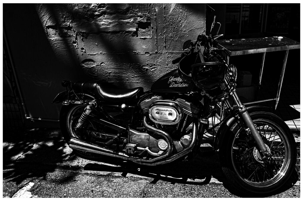 monochrome