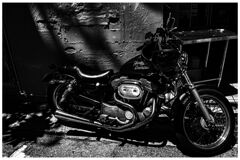 monochrome
