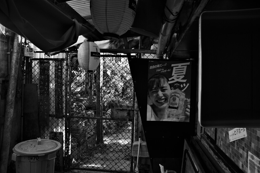 X-E1