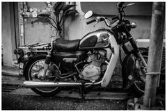monochrome
