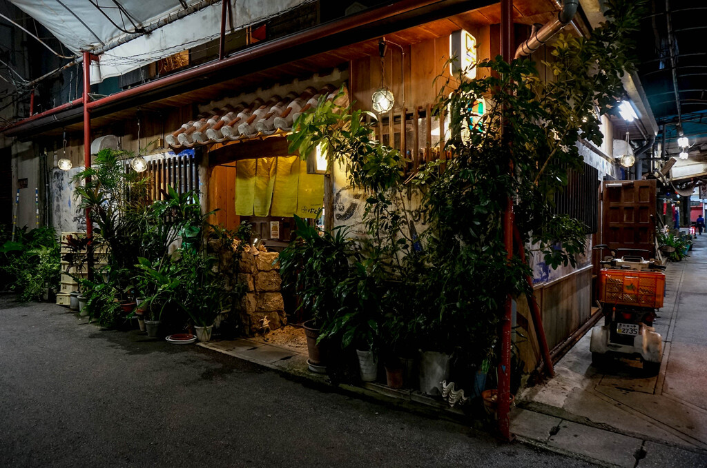 夜景