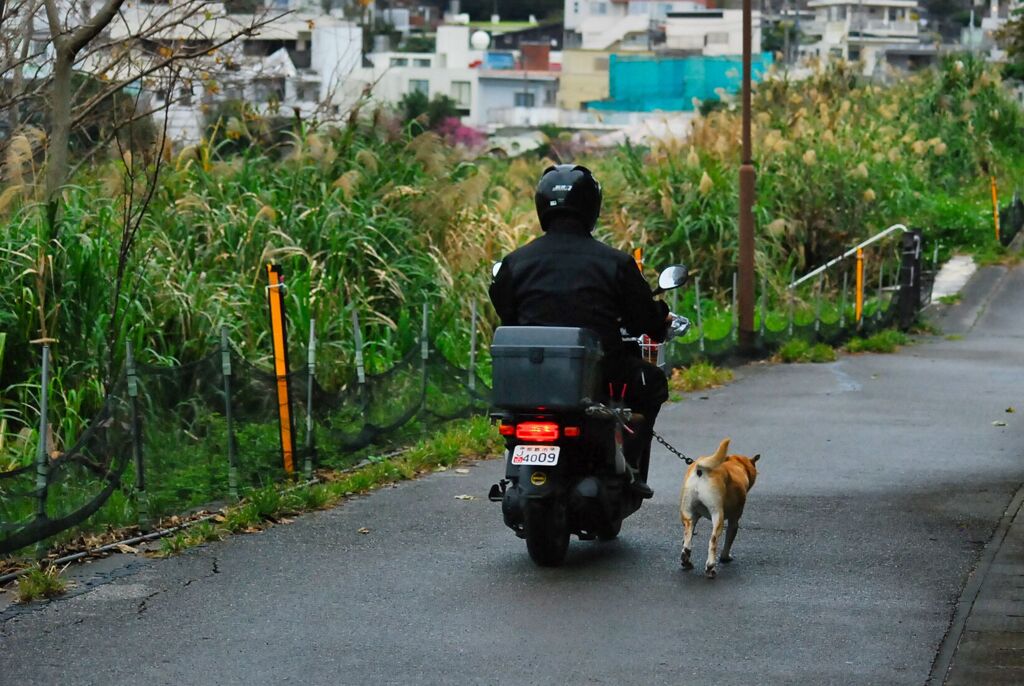 家から５分以内にあるもの