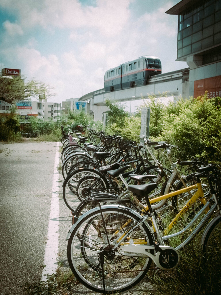 GXR カラー