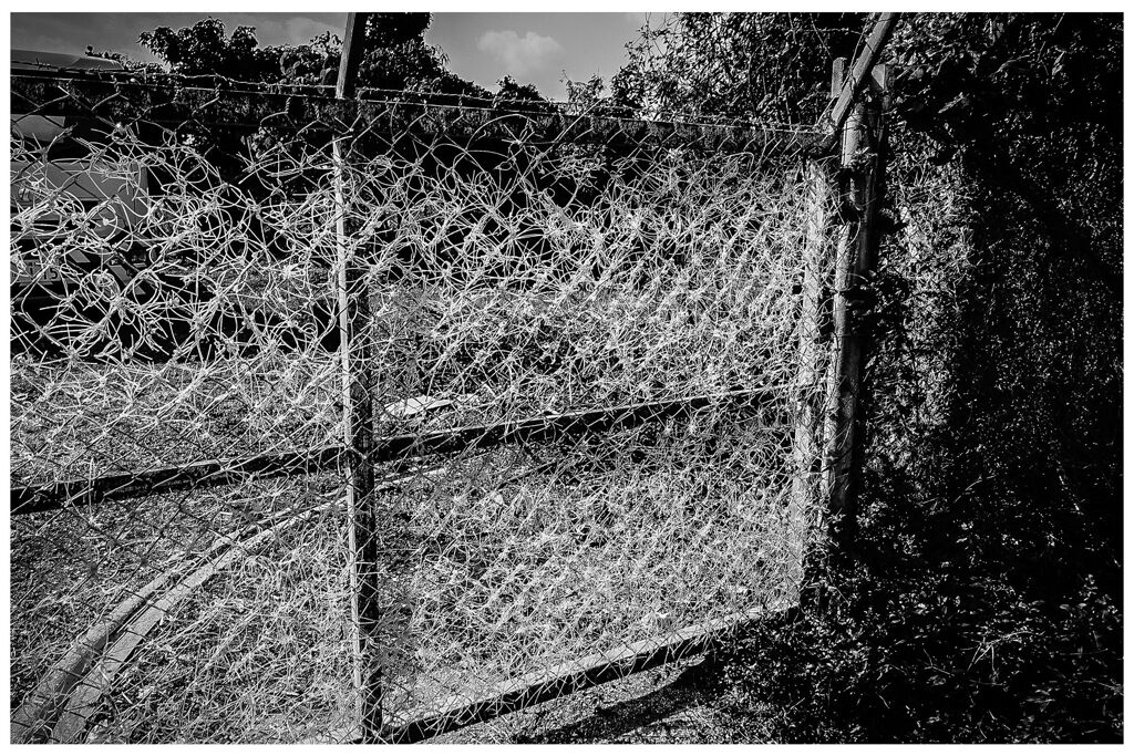 monochrome