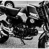 monochrome