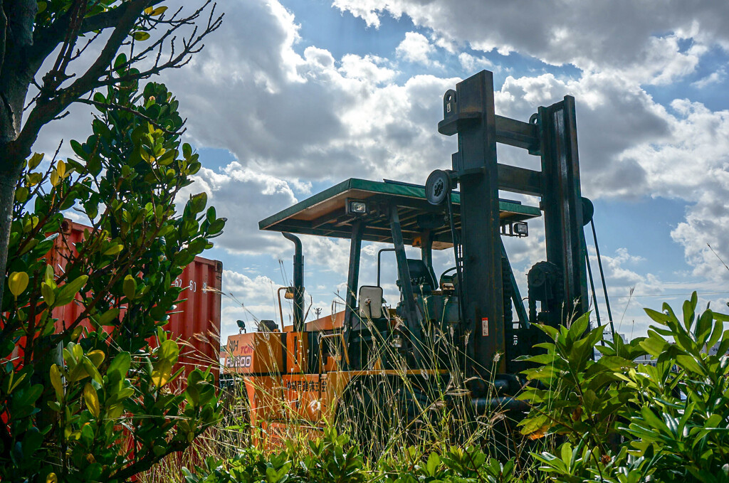NEX-6