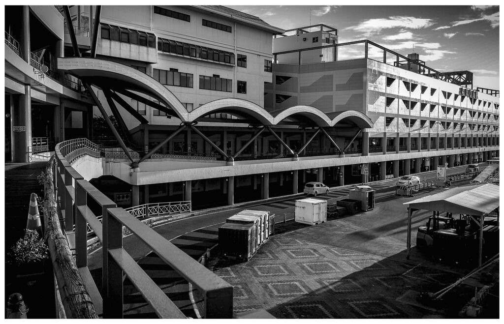 monochrome
