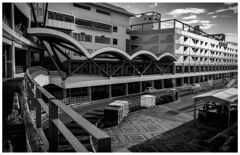 monochrome