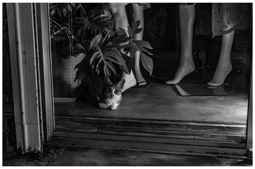 monochrome