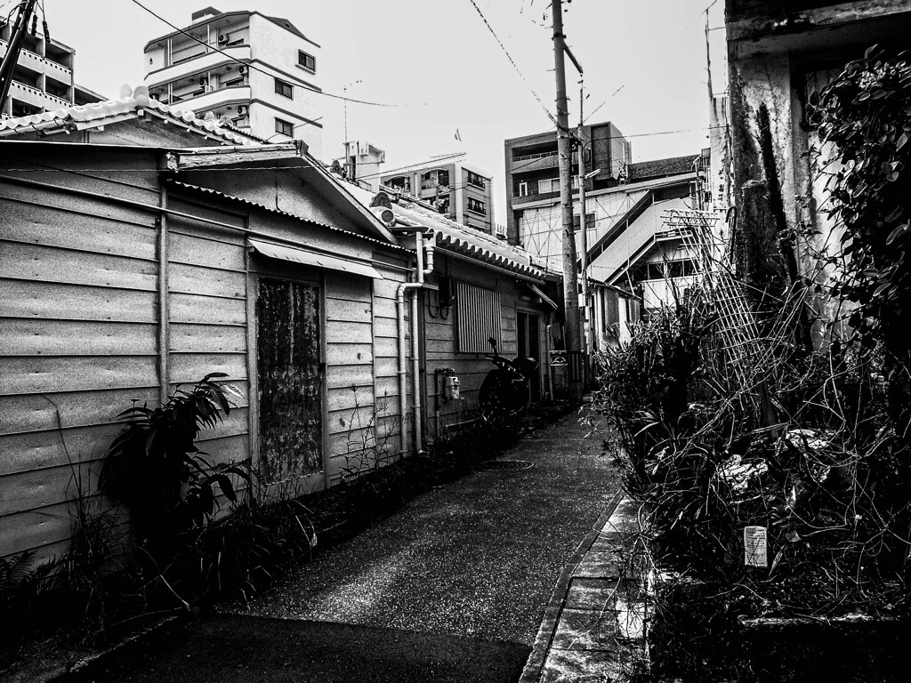 モノクロ