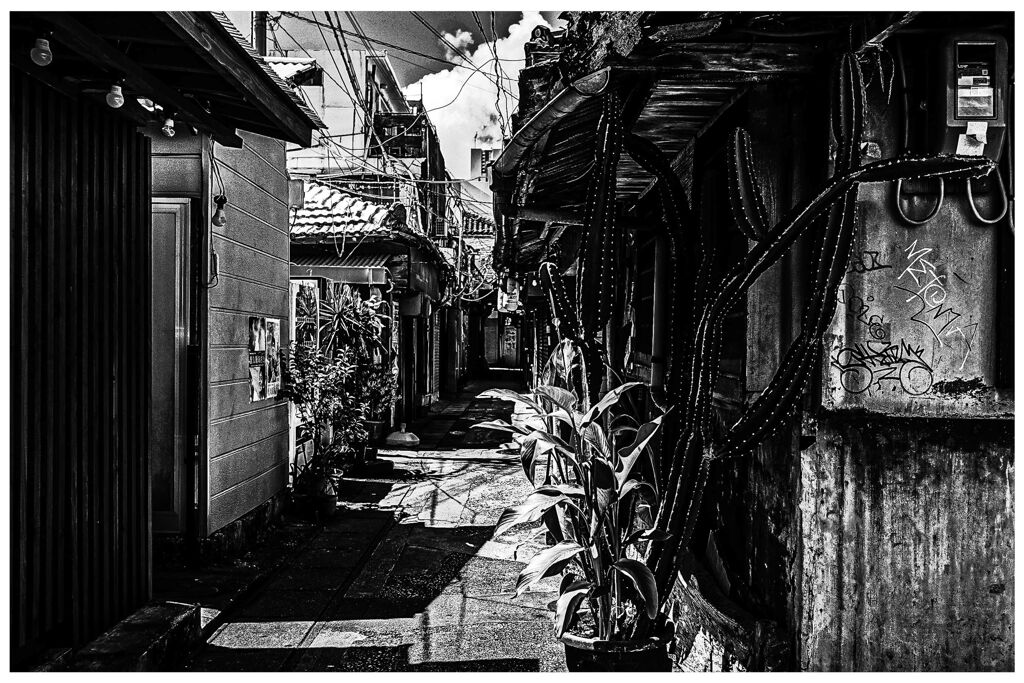 monochrome