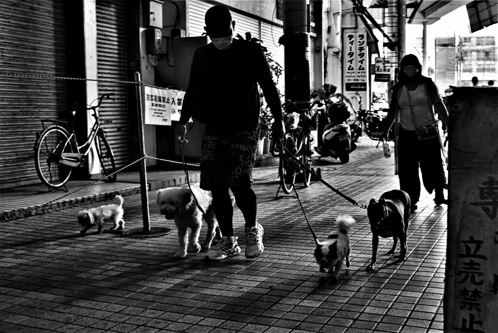 愛犬家
