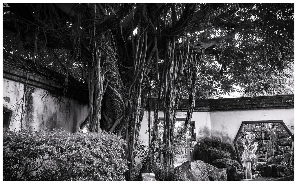 monochrome