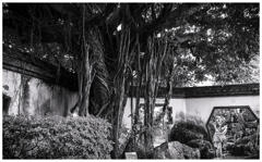 monochrome