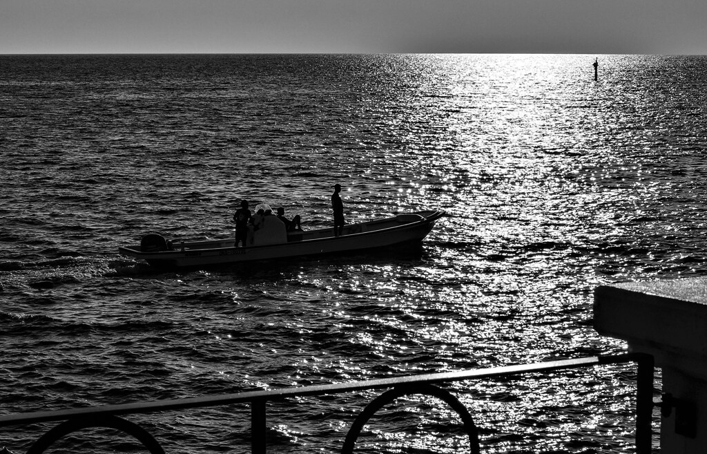 monochrome