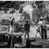 monochrome