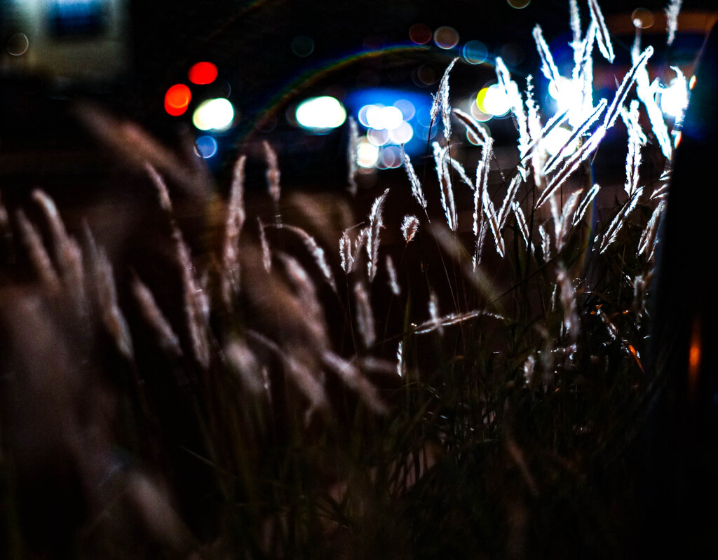 夜景