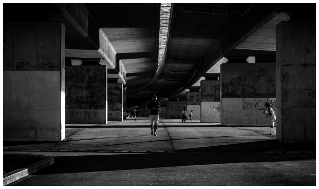 monochrome