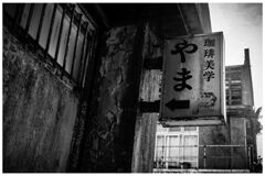 monochrome