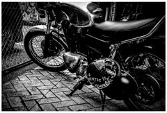 monochrome