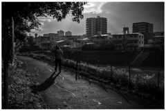 monochrome