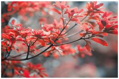 color