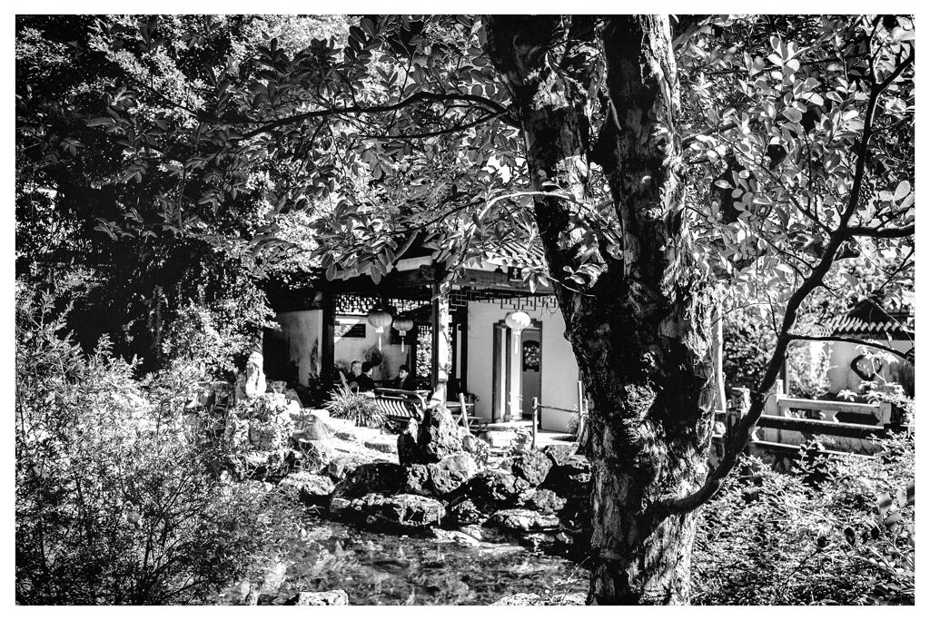 monochrome