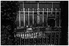 monochrome