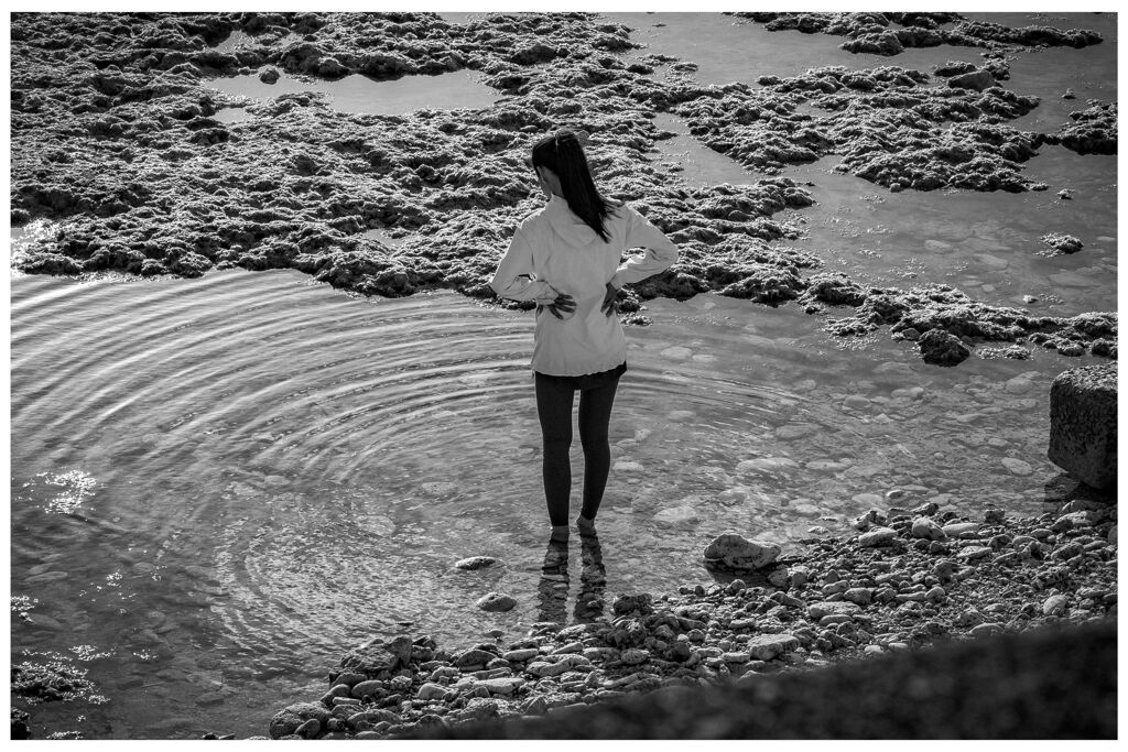 monochrome