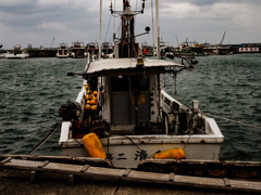 E-M10 Mark II