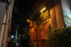 夜景