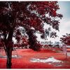 color