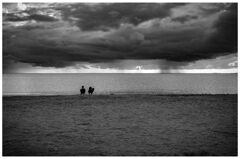monochrome