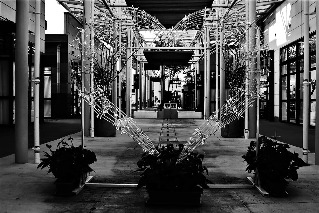 monochrome