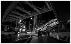 monochrome