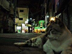 夜景