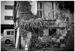 monochrome
