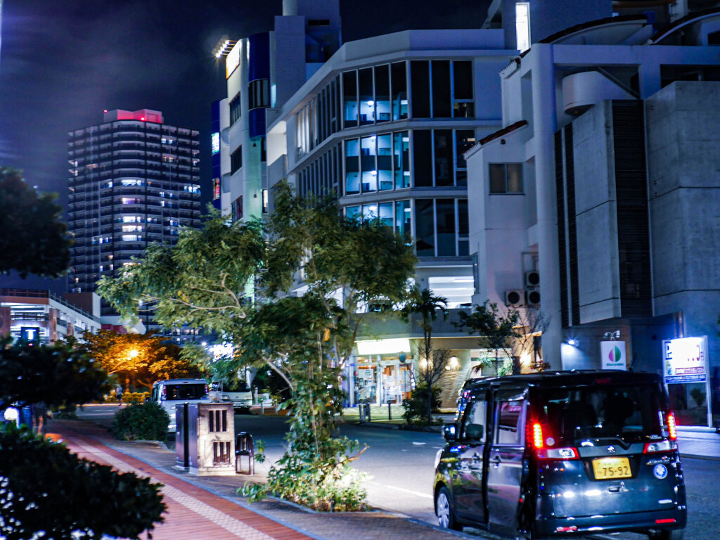夜景