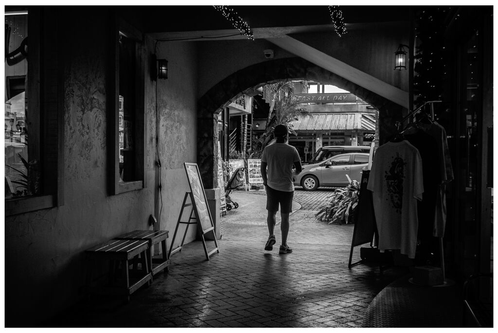 monochrome
