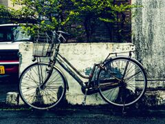 OM-D E-M10
