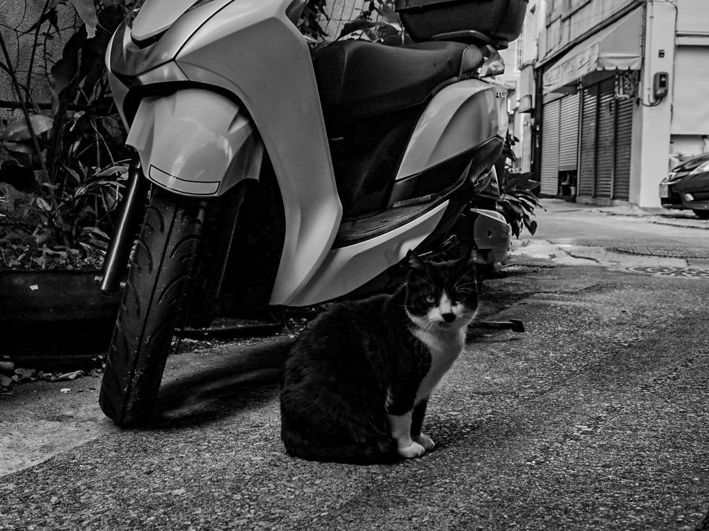 E-M10 Mark II
