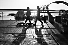 monochrome