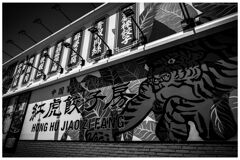 monochrome