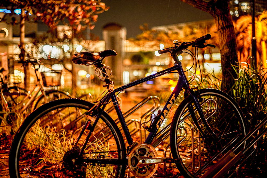 α7S 夜景テスト
