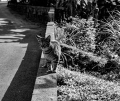 X-E1