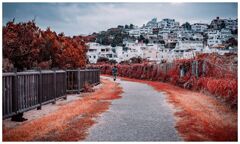 color