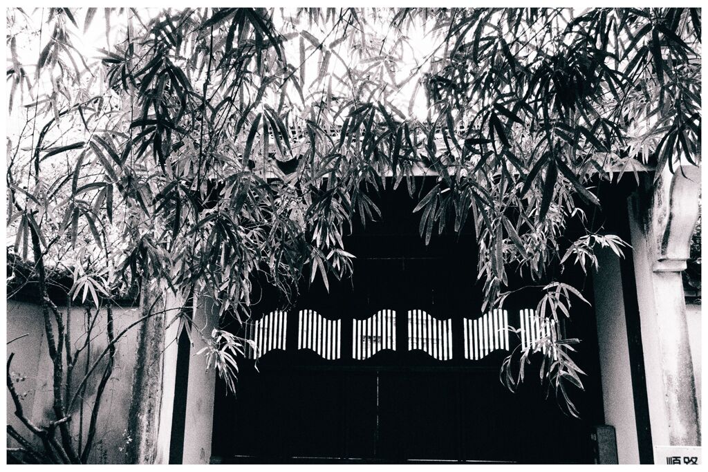 monochrome