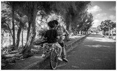 monochrome